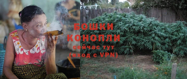 сатива Абдулино