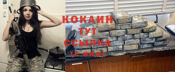 шишки Алзамай