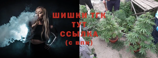сатива Абдулино