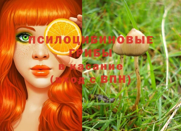 мескалин Абаза