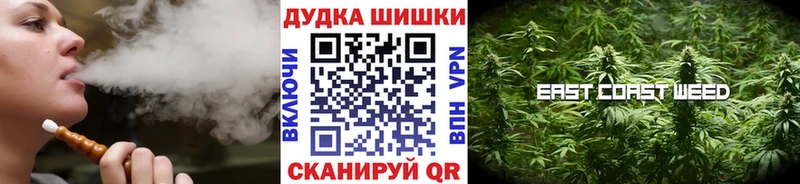 мега онион  хочу   Алзамай  Шишки марихуана SATIVA & INDICA 